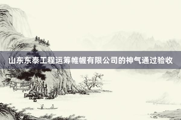 山东东泰工程运筹帷幄有限公司的神气通过验收